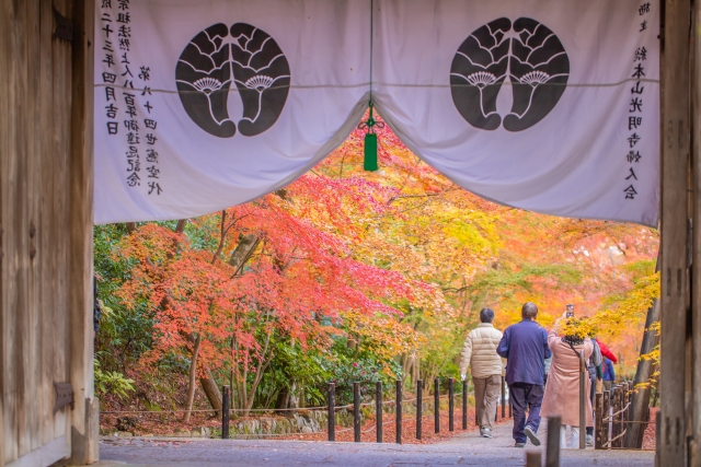 光明寺と紅葉の写真